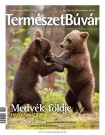 Ez az Ön Újságja!